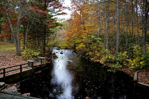 A serene river flows through a forest with vibrant autumn foliage, reflecting the colorful leaves on the water's surface.