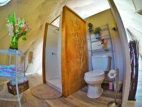 A cozy bathroom in a dome structure featuring a shower, toilet, and decorative plants.