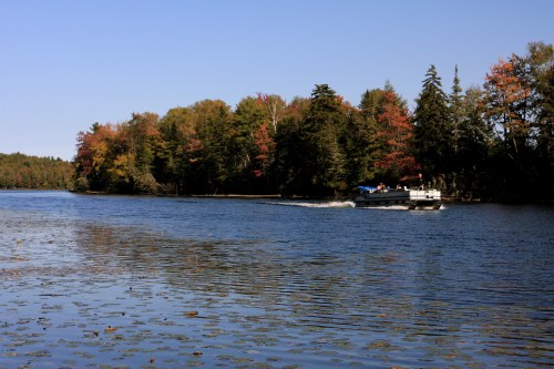 A boat glides through a calm river surrounded by trees with autumn foliage under a clear blue sky.