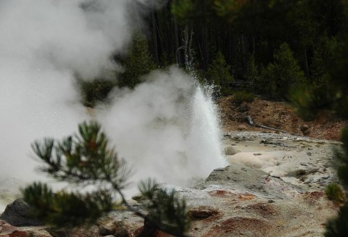Steam rises from a geothermal feature in a forested area, surrounded by rocky terrain and greenery.