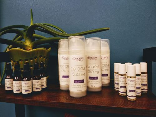 A display of CBD products, including creams and oils, next to a green plant in a decorative pot.