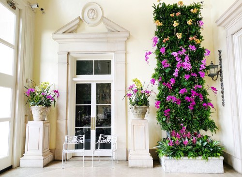 A bright interior featuring a wall of vibrant orchids, potted plants, and elegant white seating.
