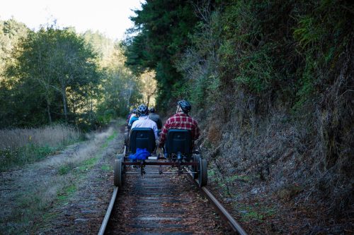 Two people ride a rail bike along a scenic, tree-lined railway track.