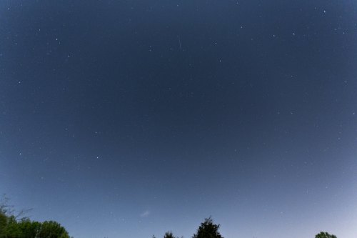 A clear night sky filled with stars, with a few trees silhouetted at the bottom.