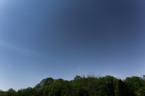 A clear night sky filled with stars above a dark tree line, creating a serene and tranquil atmosphere.