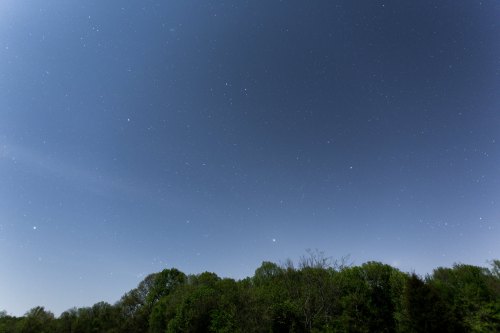 A clear night sky filled with stars above a dark silhouette of trees.