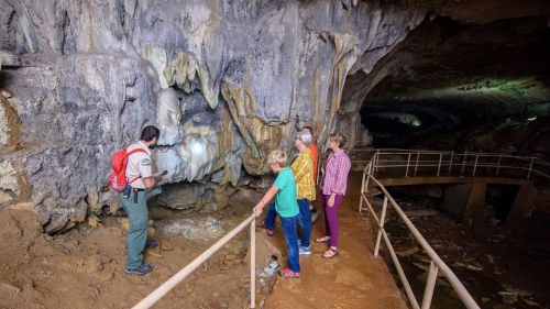 A group of visitors explores a cave, observing rock formations with a guide on a walkway.