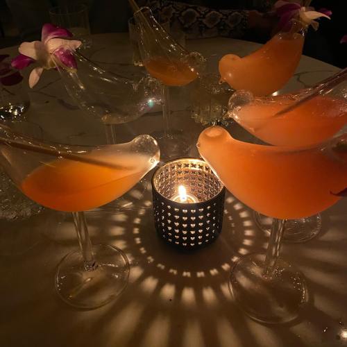 A group of bird-shaped cocktails with pink flowers, surrounding a lit candle, creating a warm, inviting atmosphere.