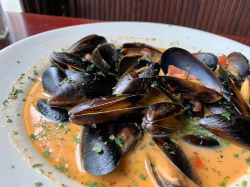 A plate of mussels in a creamy sauce, garnished with herbs and diced tomatoes.