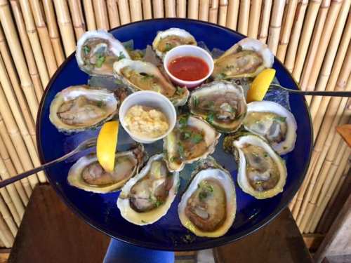 A blue plate holds a dozen fresh oysters on ice, garnished with lemon, dipping sauces, and herbs.