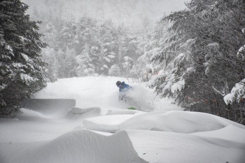 A person in a blue jacket snowboards through deep snow amidst a snowy forest landscape.