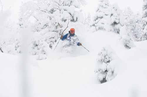 A skier in a blue jacket and orange helmet navigates through deep, powdery snow among snowy trees.