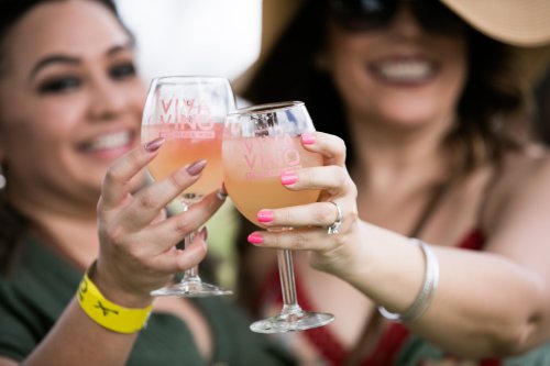 Two women clink glasses filled with pink drinks, smiling and enjoying a sunny outdoor gathering.
