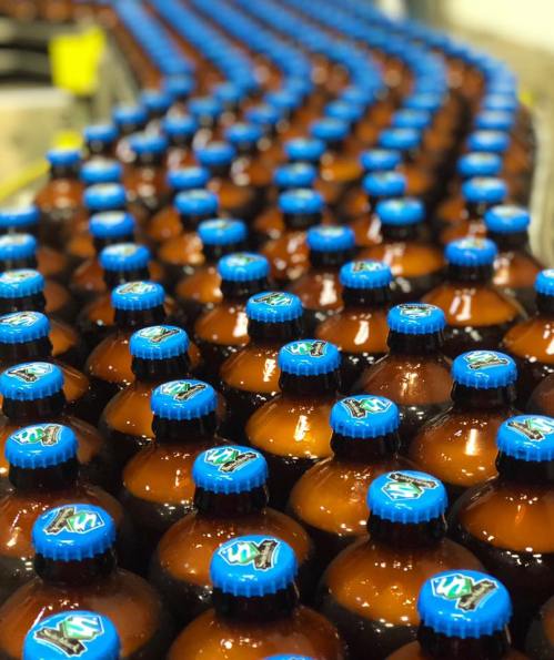 A close-up of rows of brown bottles with blue caps, arranged in a wavy pattern on a production line.
