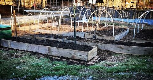 A garden with wooden raised beds, covered with hoops, ready for planting, surrounded by grass and a rustic background.