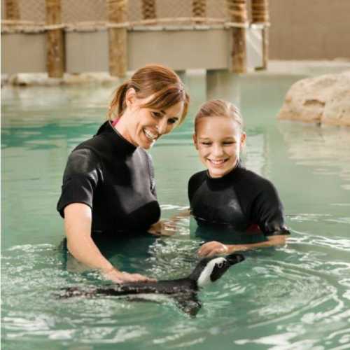 A woman and a girl smile while interacting with a penguin in a water enclosure.