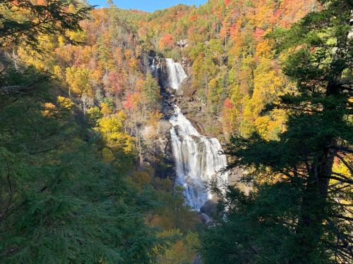A scenic waterfall surrounded by vibrant autumn foliage and tall trees under a clear blue sky.