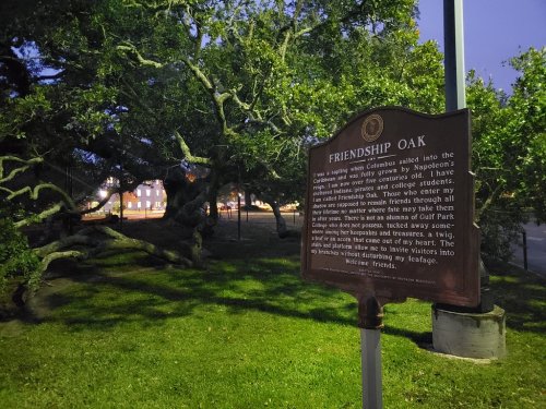A historic sign for Friendship Oak, surrounded by lush greenery and trees, with a building visible in the background.