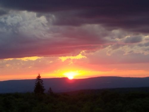 A vibrant sunset over rolling hills, with colorful clouds and a silhouette of a tree in the foreground.