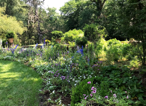 A vibrant garden filled with colorful flowers and lush greenery under bright sunlight.