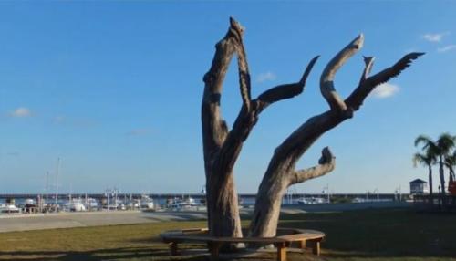 A large, artistic tree sculpture with twisted branches, set against a blue sky and marina in the background.
