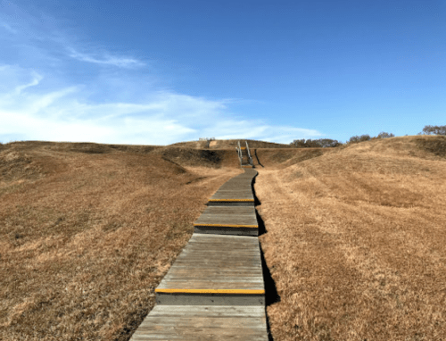 A wooden walkway leads through grassy hills under a clear blue sky.