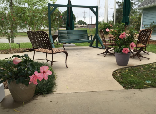 A serene patio with a swing, chairs, and pink hibiscus flowers in pots, surrounded by greenery.