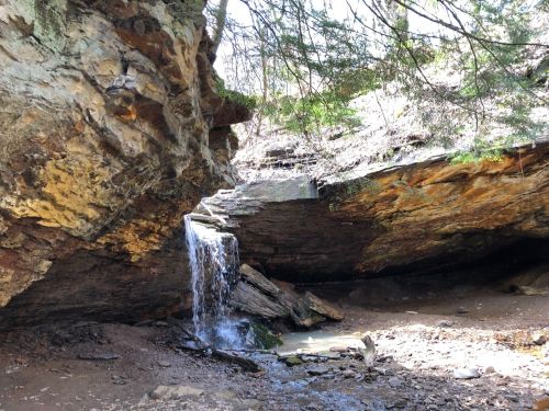 A small waterfall cascades over rocks in a wooded area, surrounded by greenery and sunlight filtering through the trees.
