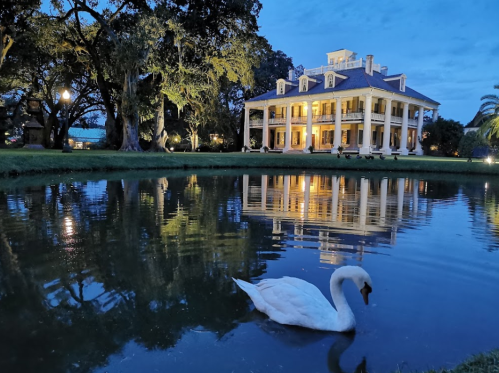 A serene evening scene of a mansion by a pond, with a swan swimming and reflections of trees and lights in the water.