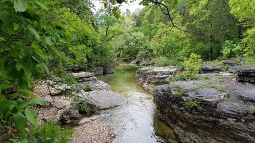 A serene river flows through a lush green landscape, surrounded by rocky banks and vibrant foliage.
