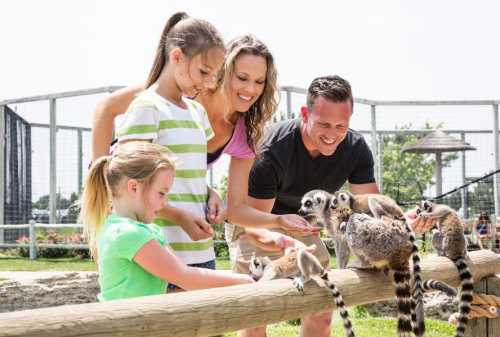 A family interacts with lemurs at a zoo, smiling and feeding them while enjoying a sunny day outdoors.