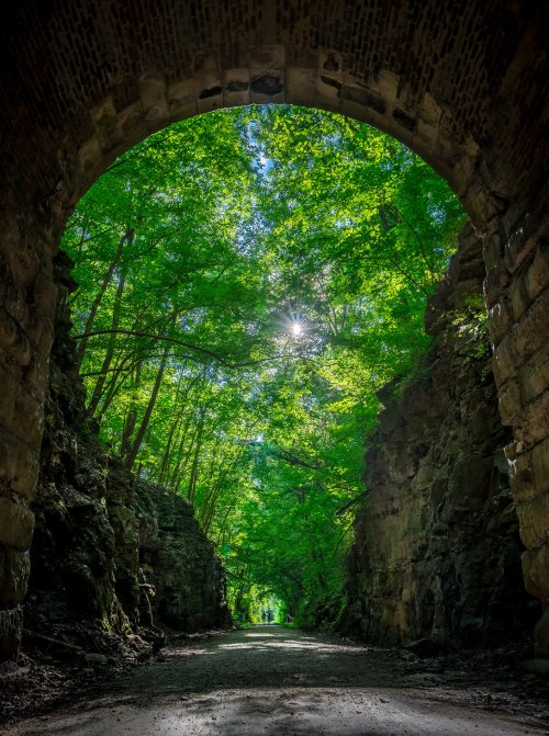 A sunlit path through a green forest, framed by stone arches and rocky walls, creating a serene, natural tunnel.