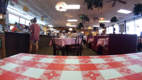A cozy restaurant interior with checkered tablecloths, hanging lamps, and patrons enjoying their meals.