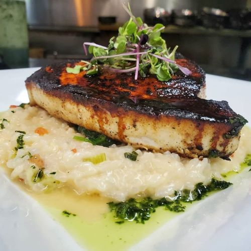 A beautifully plated dish featuring seared fish atop creamy risotto, garnished with microgreens and drizzled with sauce.