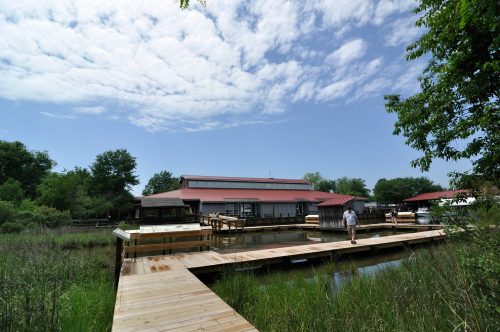 A person walks along a wooden dock by a building near a calm waterway, surrounded by greenery and a blue sky.