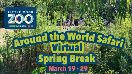 Promotional image for Little Rock Zoo's "Around the World Safari" virtual spring break event, March 19-29.