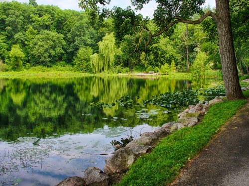 A serene lake surrounded by lush greenery, with reflections of trees and rocks along the water's edge.