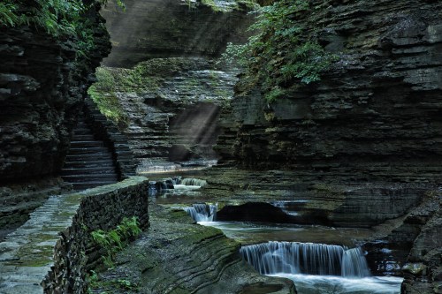 A serene canyon with moss-covered rocks, flowing water, and stone steps leading through lush greenery and soft light.