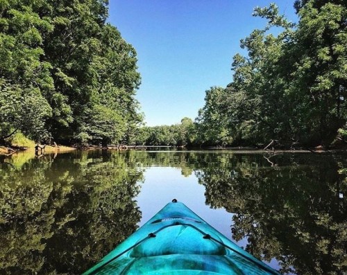 A kayak on calm water, surrounded by lush green trees and a clear blue sky, reflecting in the serene river.