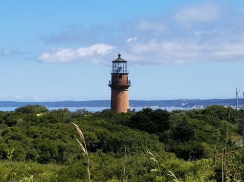 A tall lighthouse stands amidst lush greenery, with a blue sky and ocean in the background.
