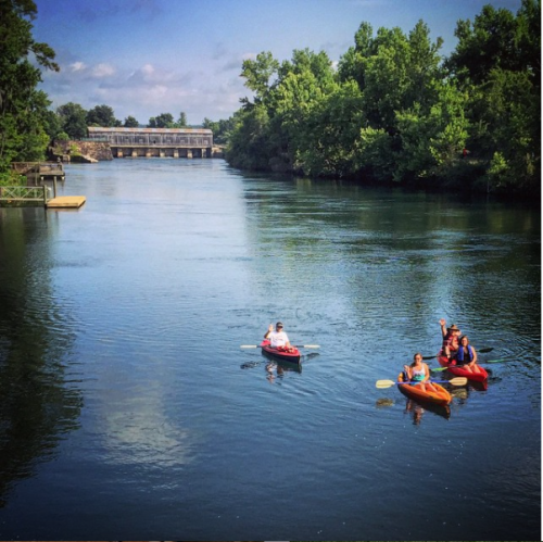 Three people kayaking on a calm river surrounded by lush greenery and a bridge in the background.