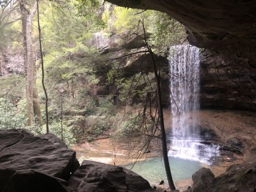 A serene waterfall cascades into a pool, framed by rocks and lush greenery in a forested area.