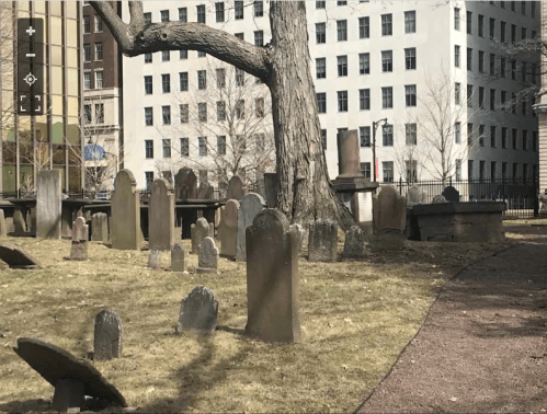 Gravestones in a historic cemetery, with a large tree and modern buildings in the background.