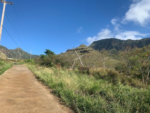 A winding dirt road leads through lush greenery, with mountains and a clear blue sky in the background.