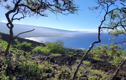 A scenic view of a coastline with rocky terrain, lush greenery, and a clear blue sky over the ocean.