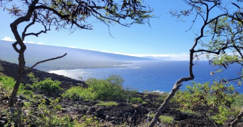 Scenic view of a coastline with blue water, rocky terrain, and lush greenery under a clear sky.