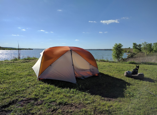 A tent by a lake on a sunny day, with a dog resting nearby on the grass.