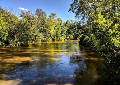 A serene river flows through a lush green landscape under a clear blue sky.