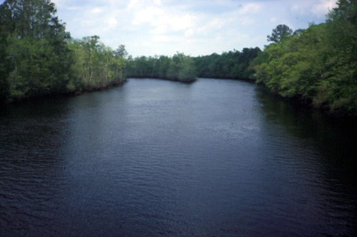 A serene river bends through lush green trees under a partly cloudy sky.