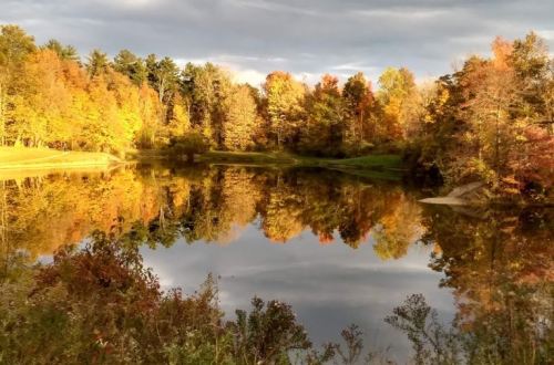 A serene lake surrounded by vibrant autumn trees reflecting in the water under a cloudy sky.